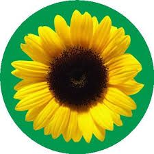 Hidden Disabilities Logo